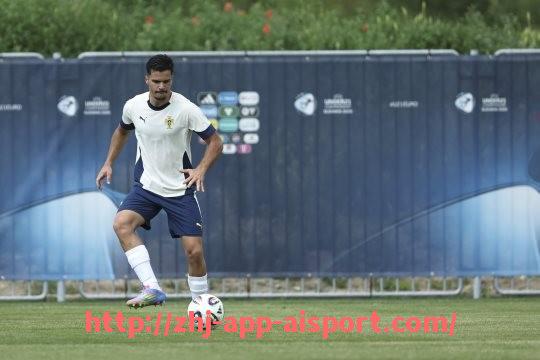 爱体育app-法甲里昂全年比赛总进球数的统计与分布