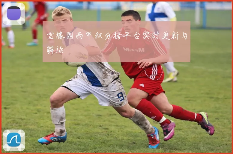 雪缘园西甲积分榜平台实时更新与解读